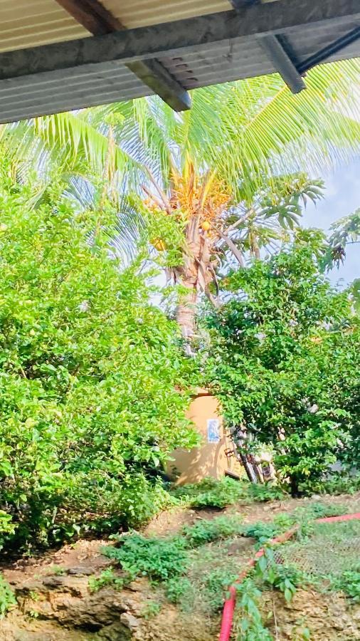 Citron Vert Port-Louis Dış mekan fotoğraf
